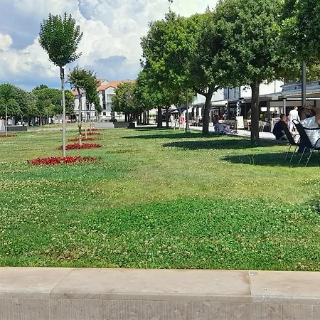 Location * Umag